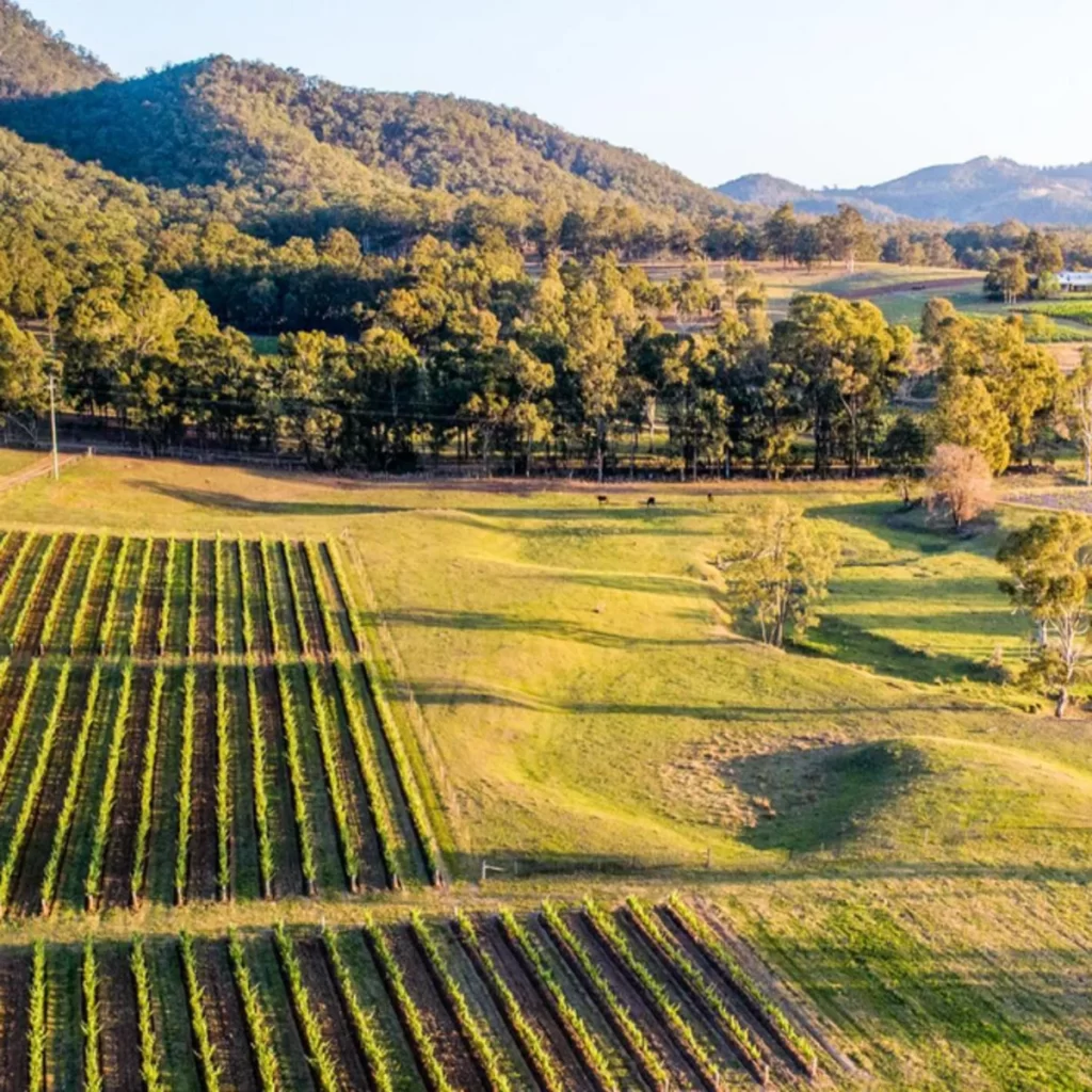 Where to Wine and Dine in the Yarra Valley