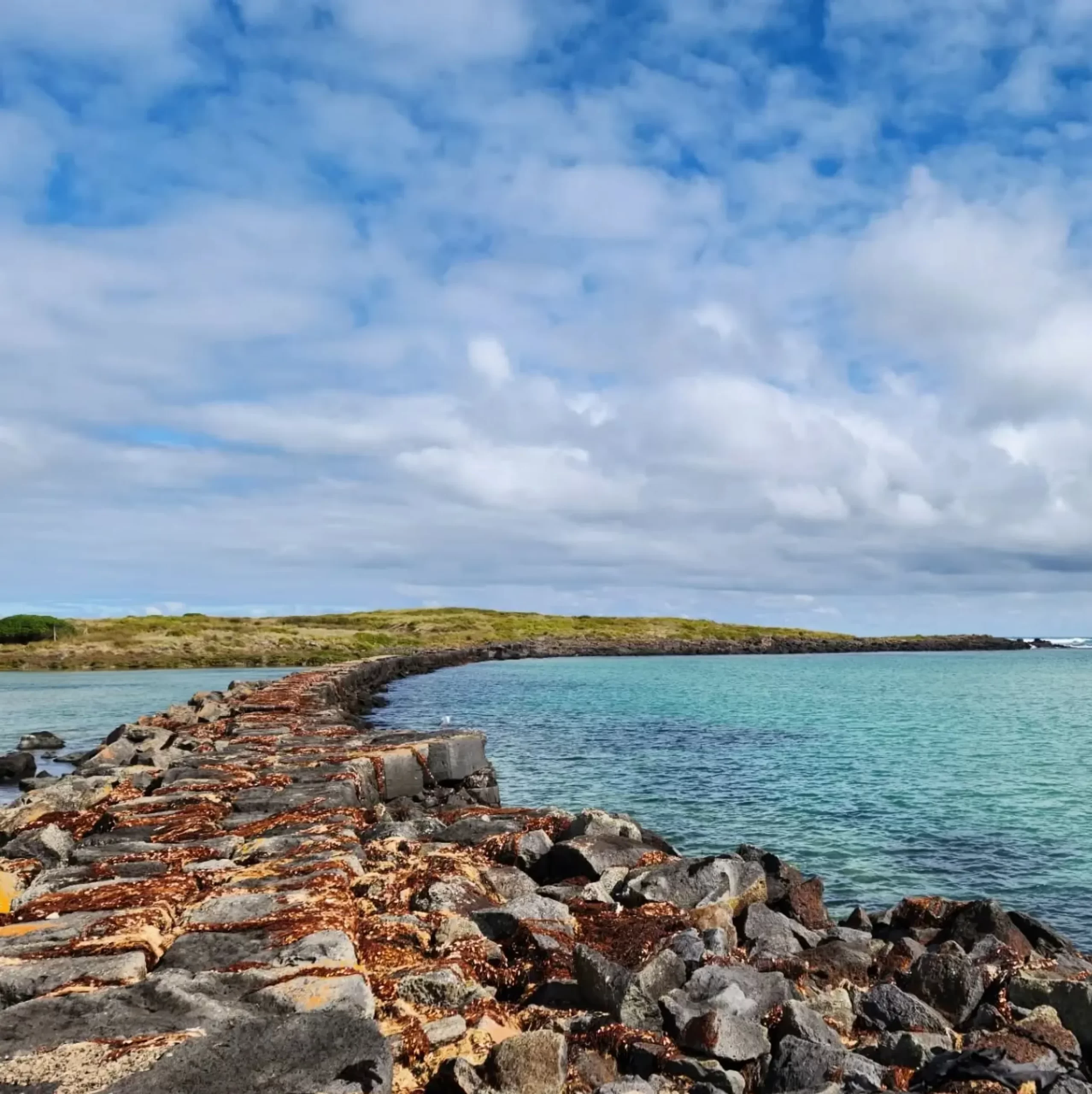 Griffiths Island, Port Fairy