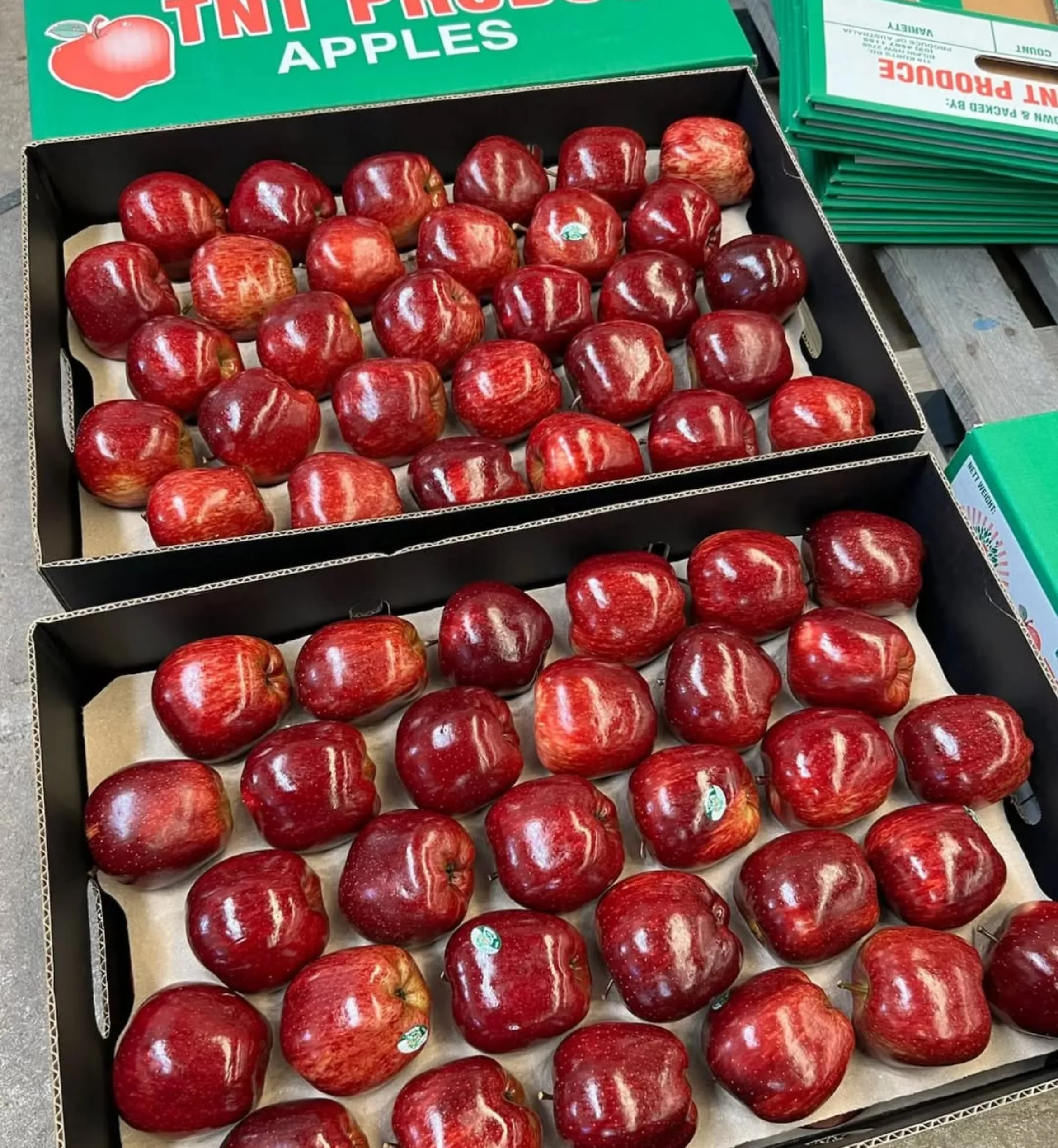 apple picking, Mountain Apple